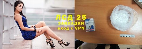 дурь Бородино